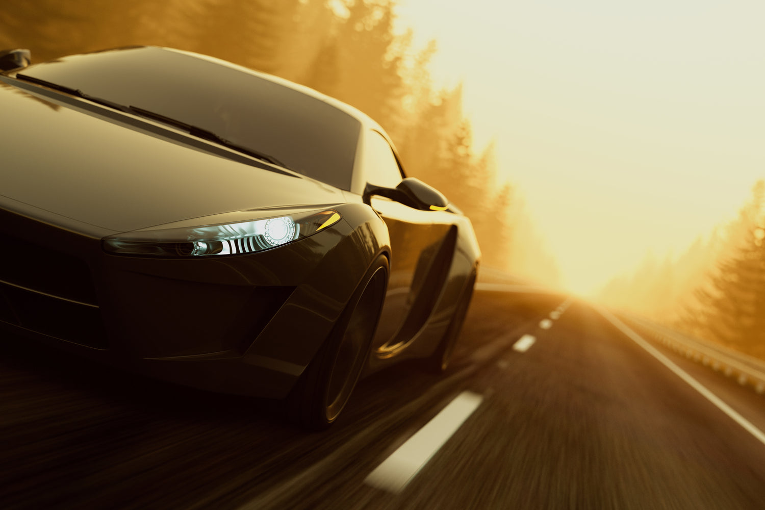 Racing and Rotary Oils